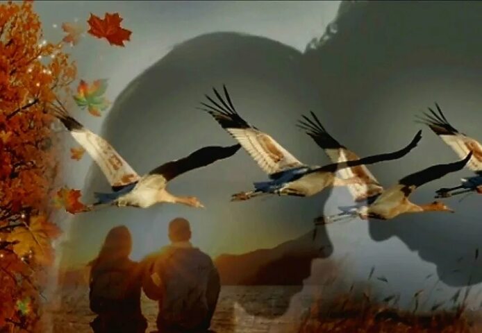 Школьные годы, как птицы...