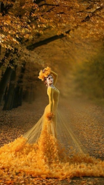 Сегодня осень даёт прощальный бал