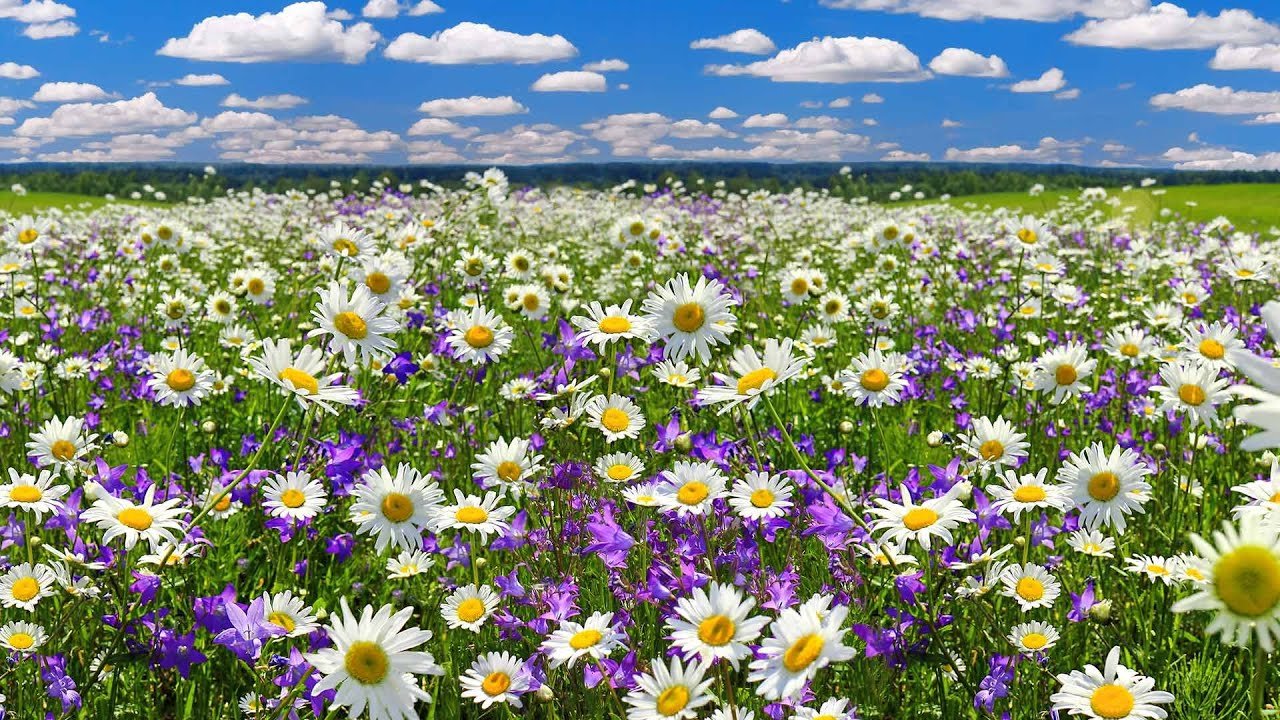 Никто не хотел умирать. Часть 9