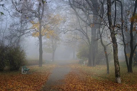 Унылая и мрачная погода