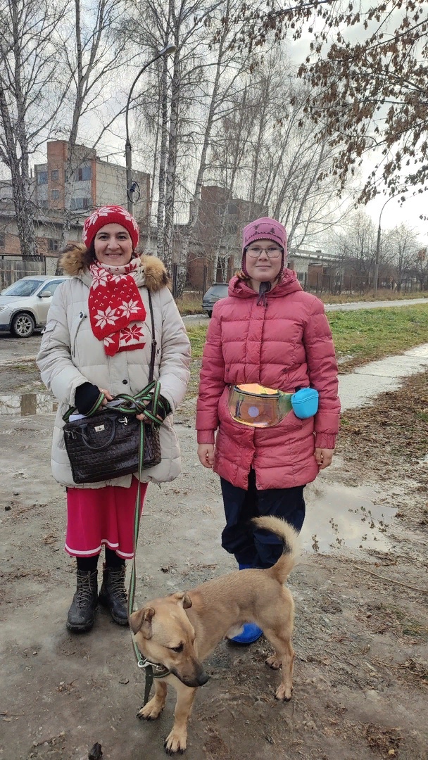 Я сдала еще один жизни экзамен (Лина Хачиковна Усепян-Овсепян) / Стихи.ру