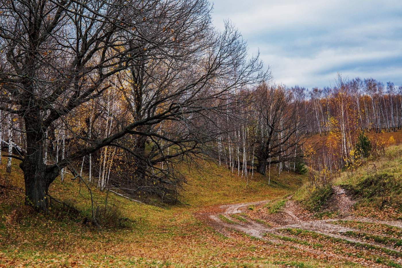 Фотографии Поздней Осени