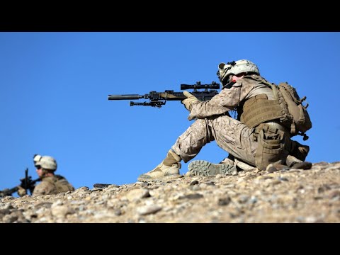 Сонгы сулыш