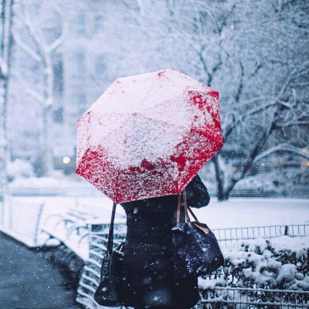 В преддверьи зимы...