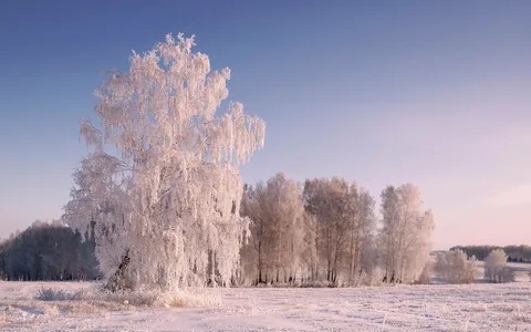 Прилетевшая метель кружит над полями