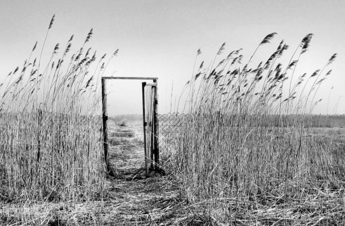 Не хочется говорить