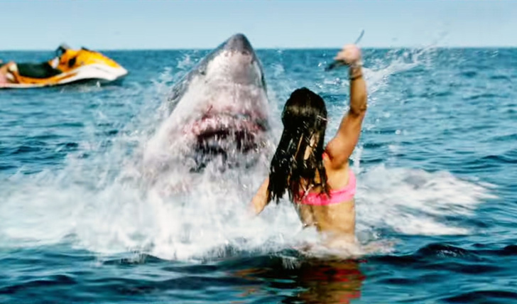 Акульи байки - страшилки за пивом