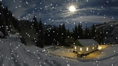 Ночью выпал первый снег