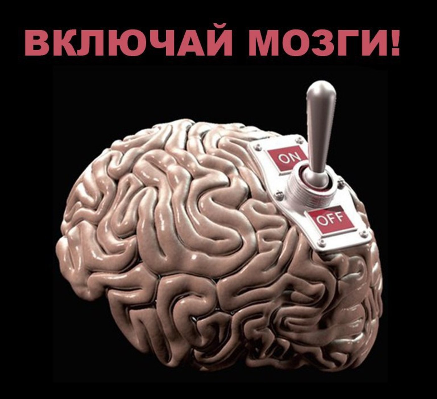Мозги училки купить. Включить мозг. Включи мозги. Переключатель в мозгу. Включи мозг.