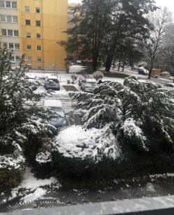 Белым одеянием