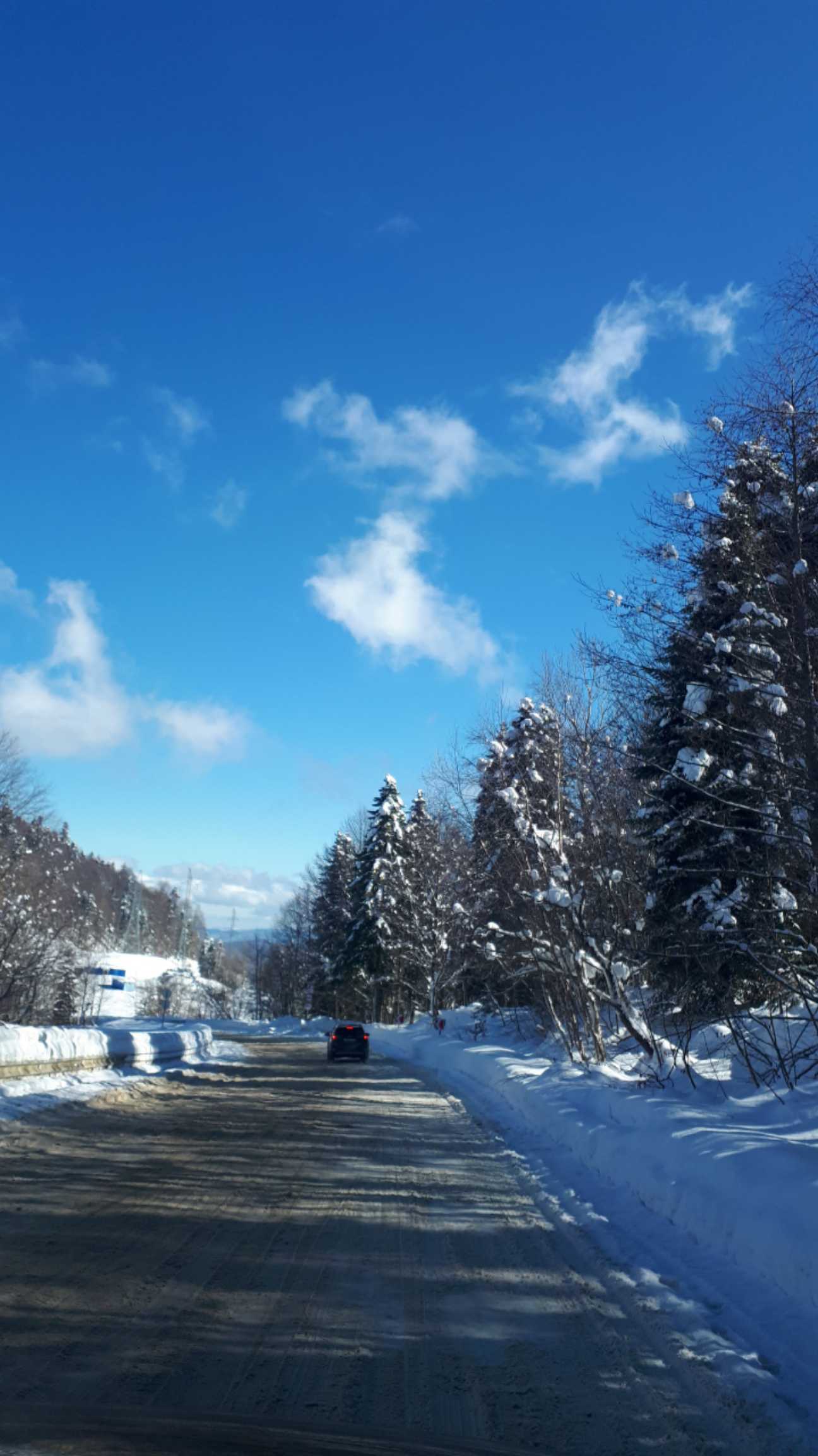 Двенадцать месяцев