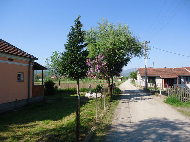 Гл. 49. Развитие г. Кладни, Баронесса Дрина Ли