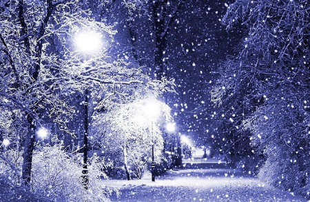 Остаться бы мне дома