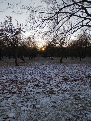 Одновременно
