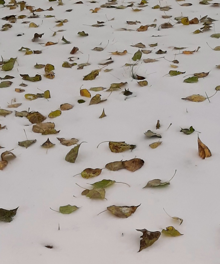 Пора уходить