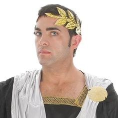 лавровый венок цезаря. лавровый венок цезаря. греческий венок. корона наполеона "золотой лавровый венок". золотой лавровый венок цезаря.