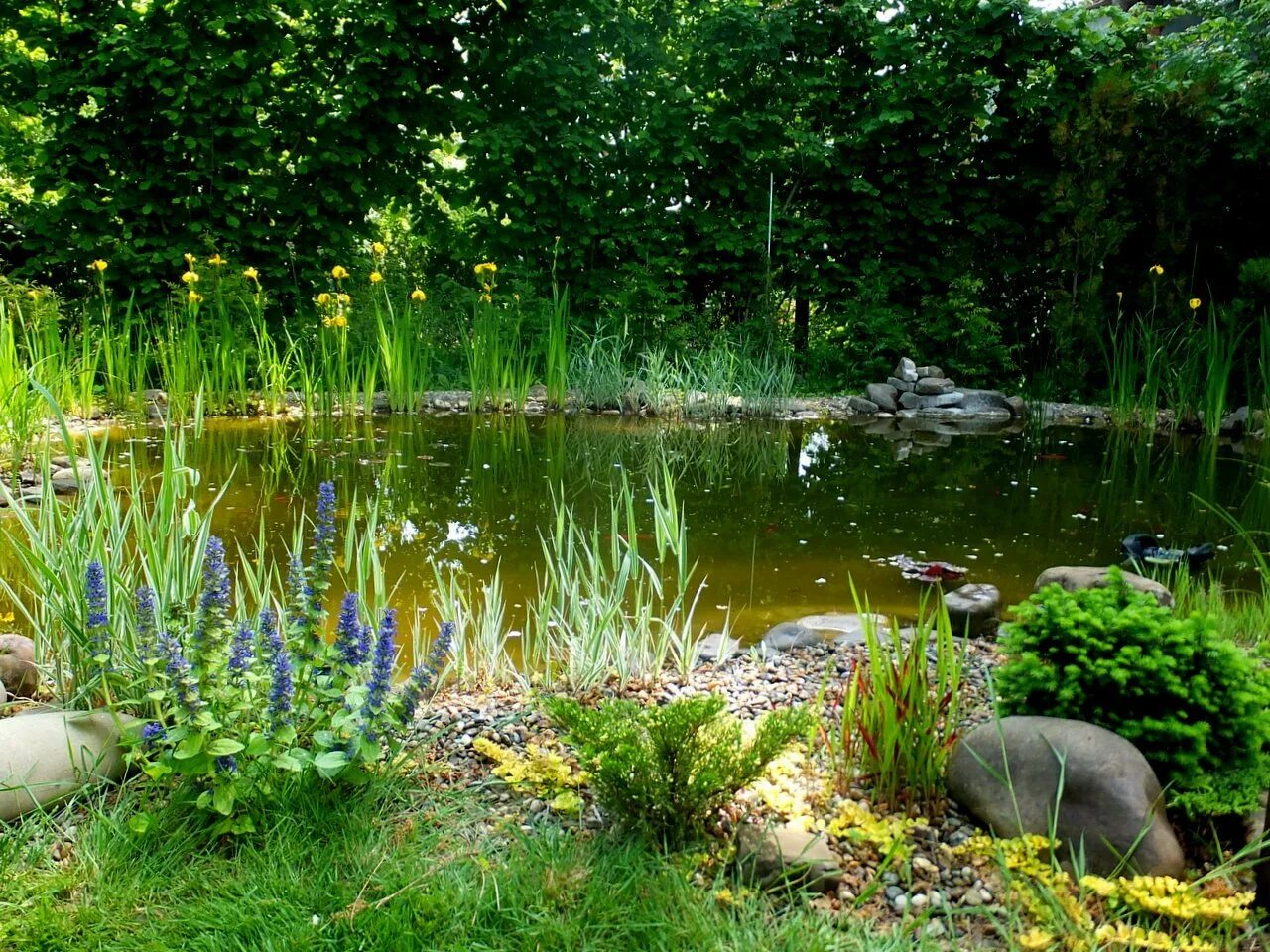 сказочное озеро. пруд в саду. сказочное озеро. фэнтези лес. лядов волшебное озеро.