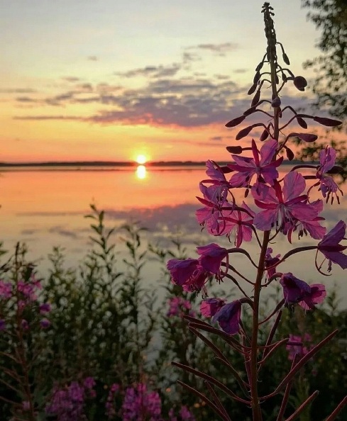 Последним аккордом июня