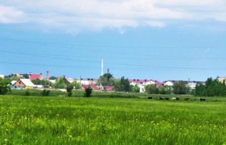 Сказка детства