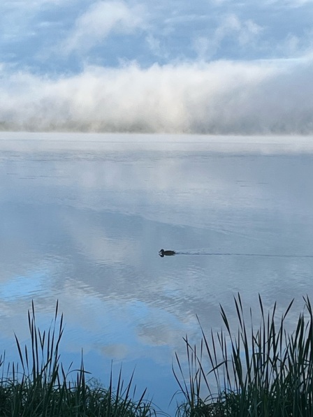 Туманы на озере