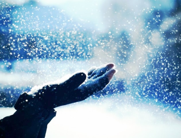 Умей видеть