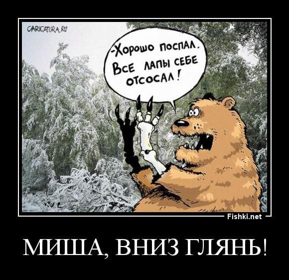 Зимняя спячка