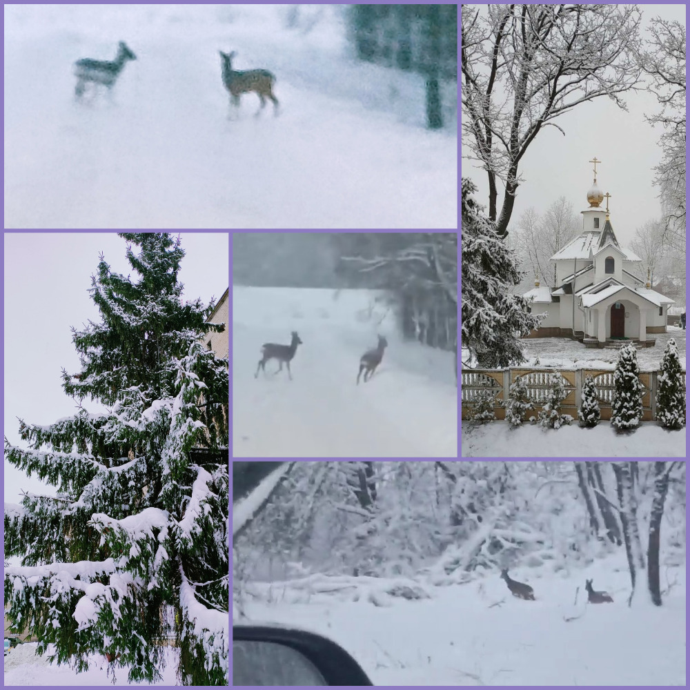 Нежное солнце