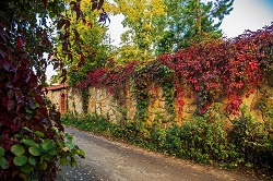 Нам подарки Жизнь приносит