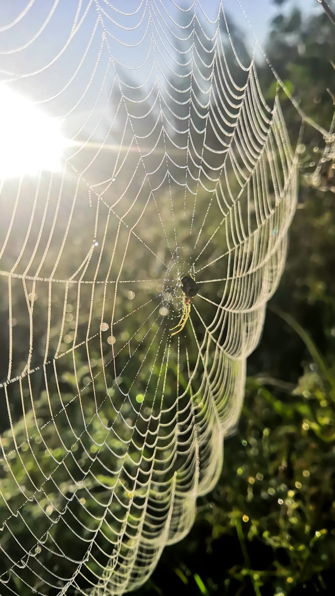 Безысходность