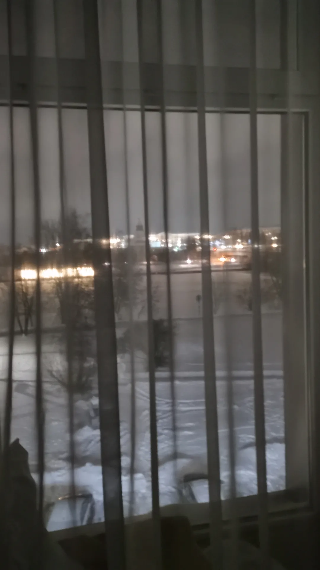 В один из дней я перестала доверять...