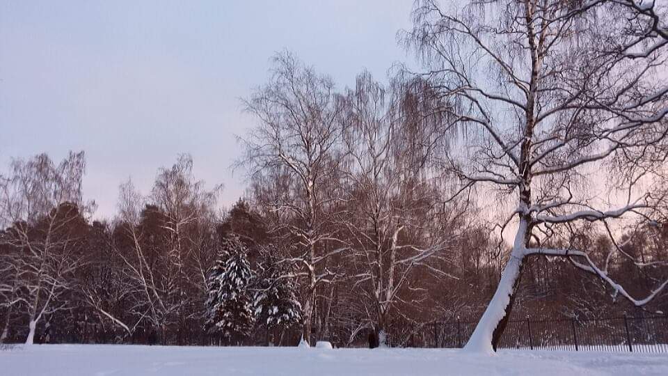 Пробуждение