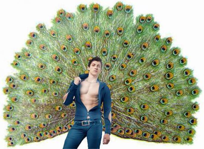 Баллада о любимой