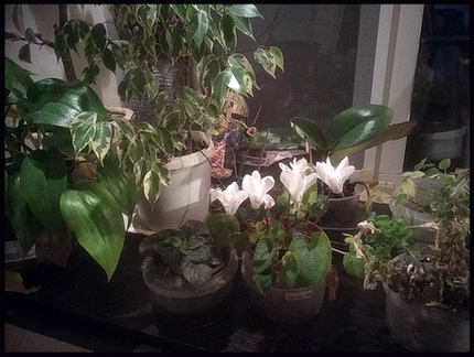 Послание из Иномирья