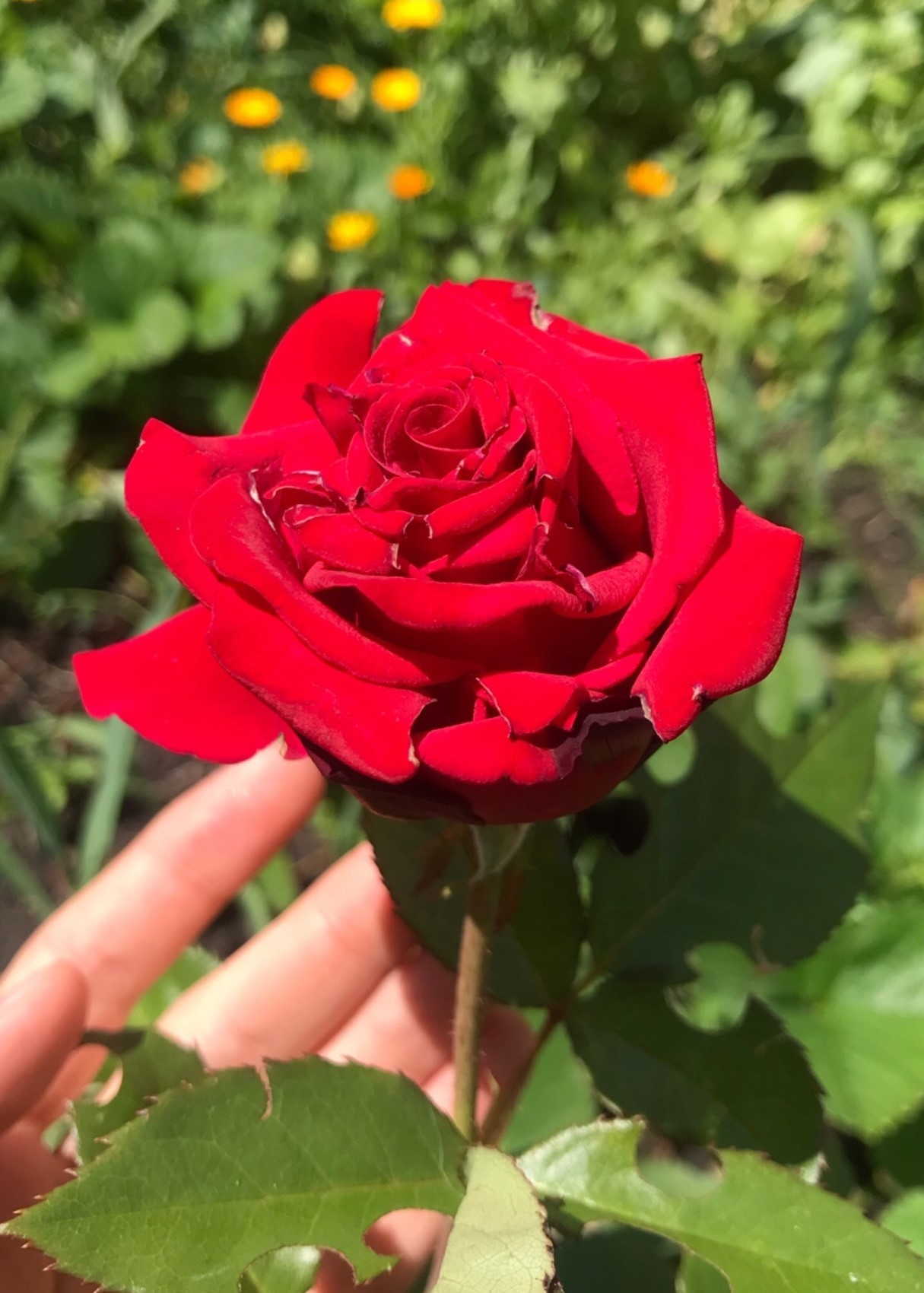 Ты - любовь (Даша Полетаева) / Стихи.ру