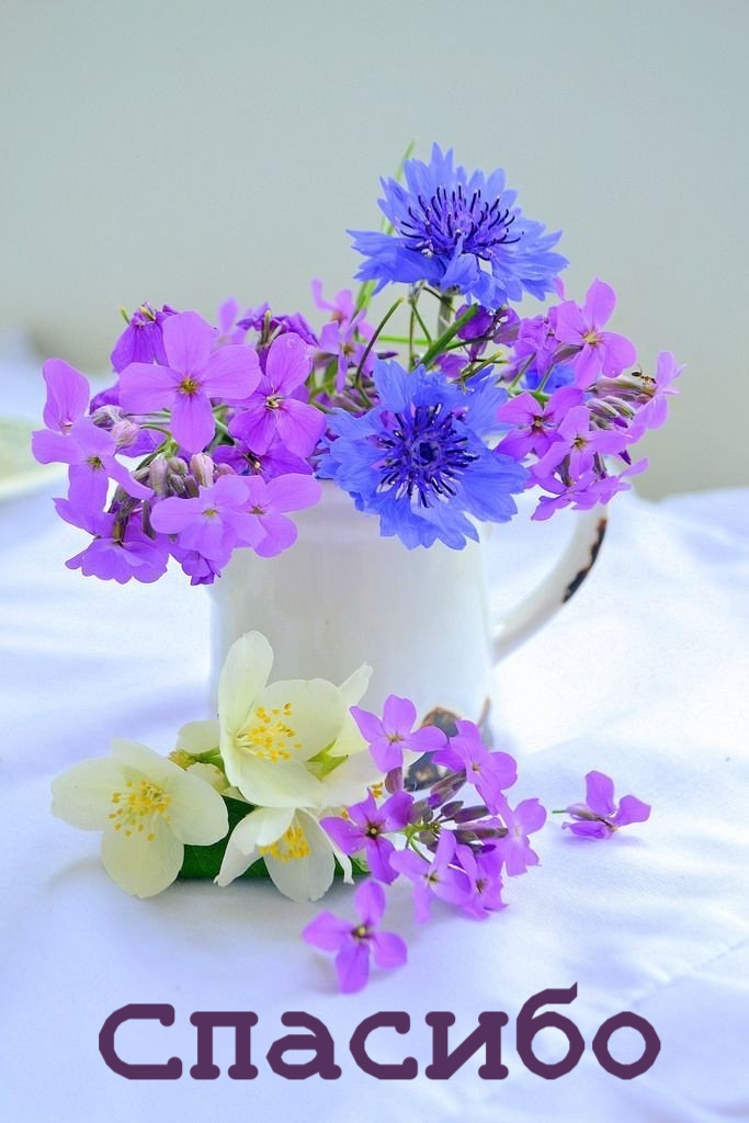 Письмо солдату