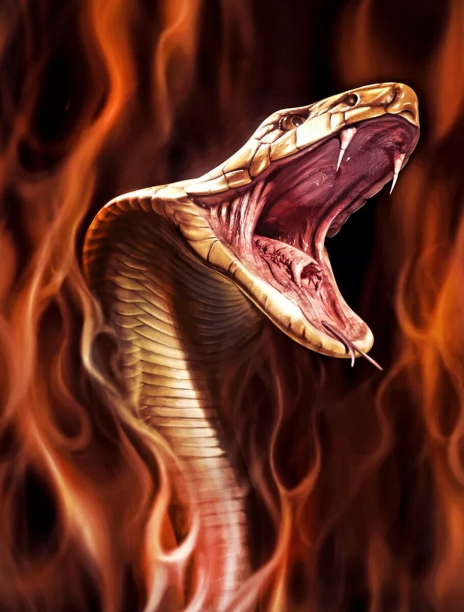 Змея в огне. Огненная Королевская Кобра. Огненная змея. Оскал кобры. Змея оскал.