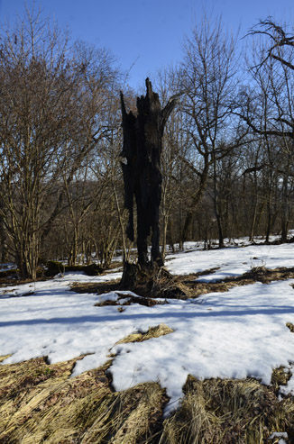 2023г Крушение всех надежд произошло. 402и