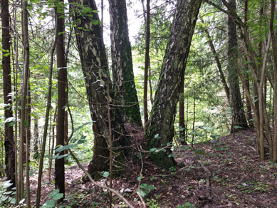 2023г. Молебен надо провести 411и