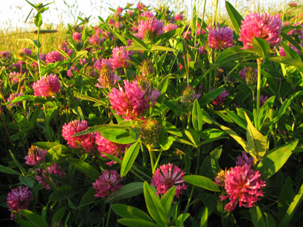 2023г. Вас завтра будут поздравлять 426и