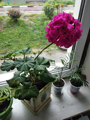 2023г. У тебя лёгкая рука 433и