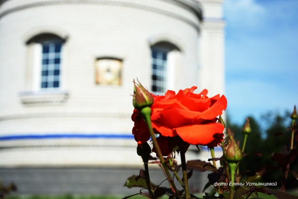 Правды Свет