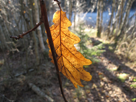 2023г. Нет, я тебя жалеть не буду. 435и