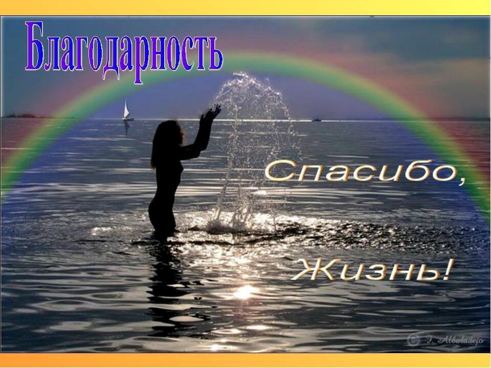 Я жизнь благодарю... (Тамара Фролова) / Стихи.ру