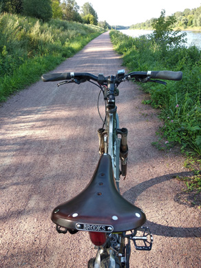 2023г. Она меня опередила. 447и