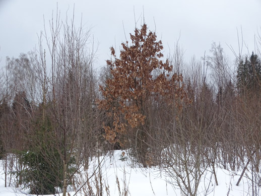 2023г. Вы самый честный мой судья. 451и