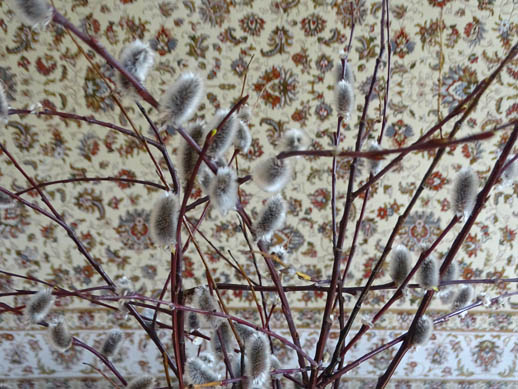 2023г. Веточкой вербы я Вас накажу. 454и