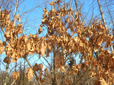 2023г. Вот снова пятница настала. 472и