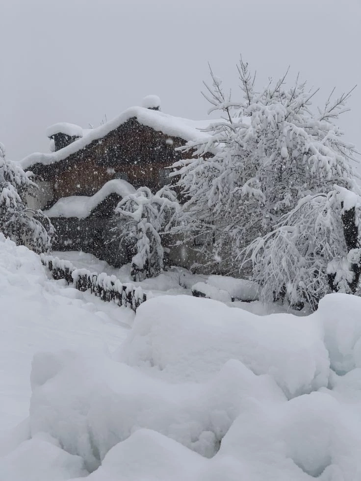 Много снега