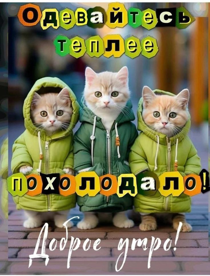 Набожные дамы