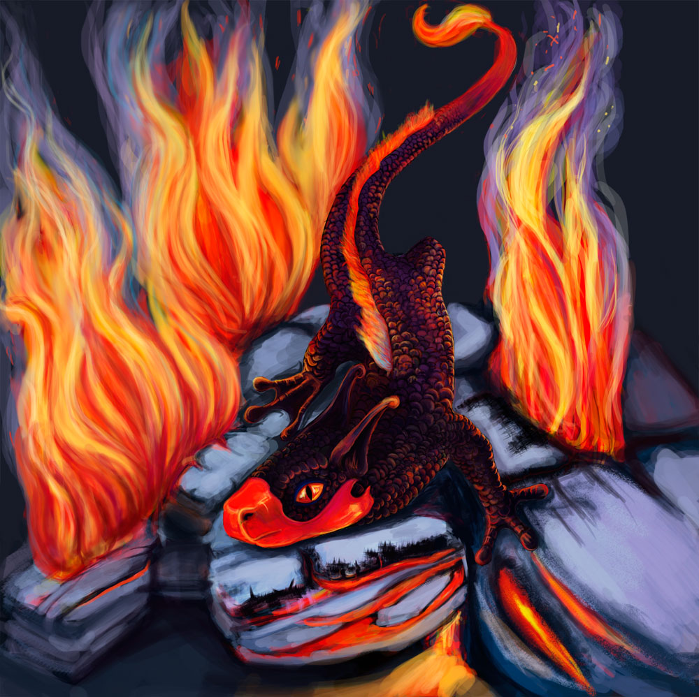 Огненная ящерица. Огненная саламандра дух огня. Огненные Саламандры духи огня. Саламандра — Огненная ящерица. Саламандры элементали огня.